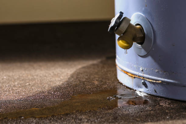 Best Water damage restoration services  in Blennerhassett, WV