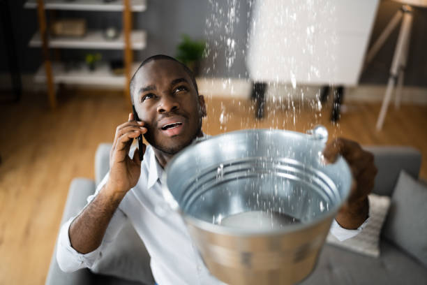 Best Water damage restoration near me  in Blennerhassett, WV