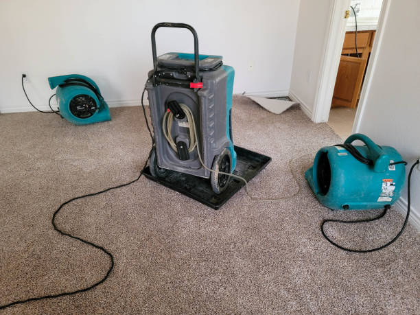 Best Emergency water damage restoration  in Blennerhassett, WV