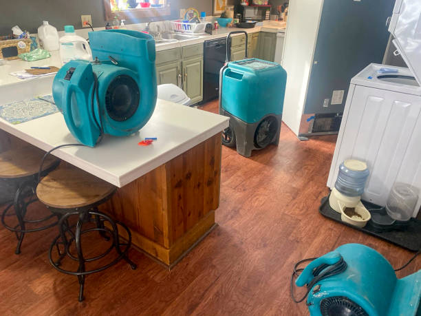 Best Water damage restoration near me  in Blennerhassett, WV