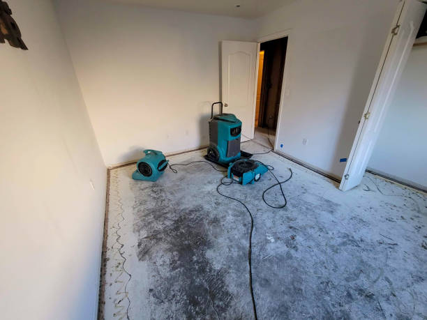 Water damage restoration experts in Blennerhassett, WV