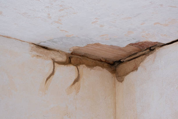 Best Water damage restoration near me  in Blennerhassett, WV