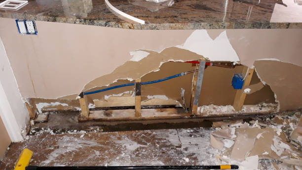 Best 24/7 water damage repair  in Blennerhassett, WV