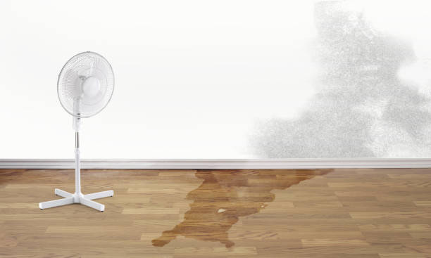Blennerhassett, WV Water damage restoration Company