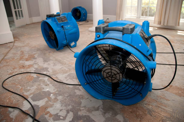 Fire Damage Restoration in Blennerhassett, WV