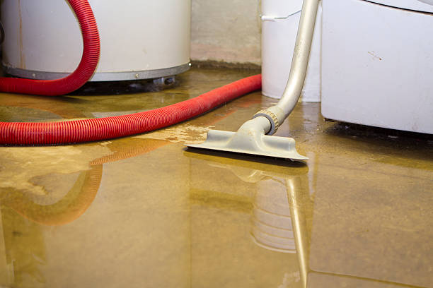 Best Sewage cleanup and water damage restoration  in Blennerhassett, WV