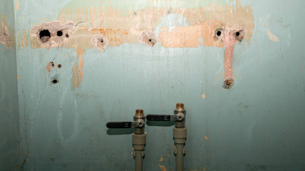 Best Commercial water damage restoration  in Blennerhassett, WV