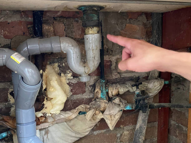 Best Flood restoration services  in Blennerhassett, WV