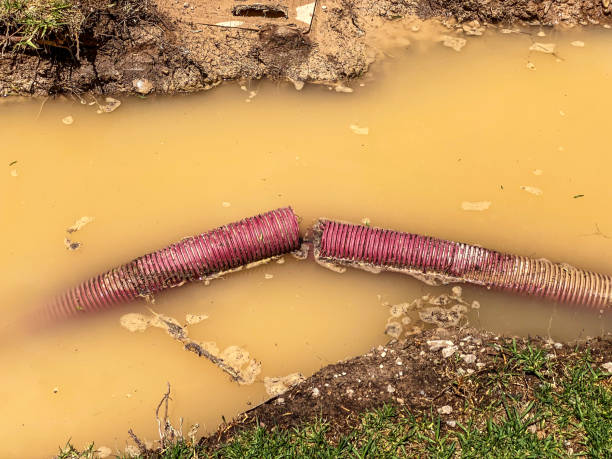  Blennerhassett, WV Water damage restoration Pros