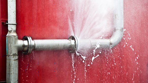 Best Ceiling water damage repair  in Blennerhassett, WV